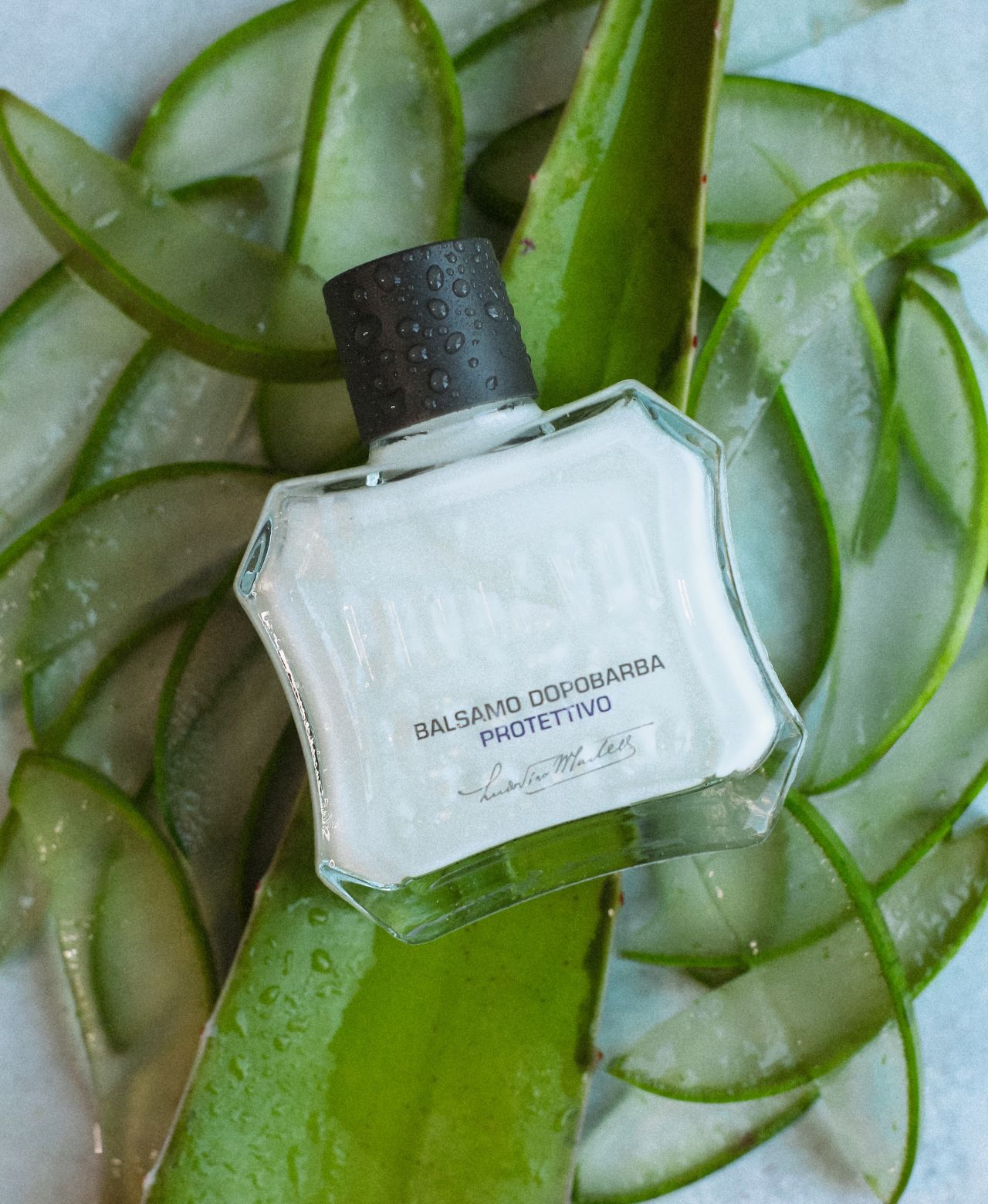 Protective After Shave Balm sitting on slices of Aloe Vera